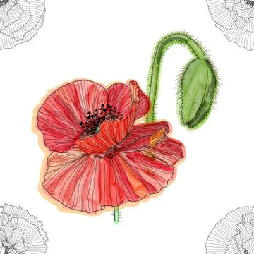 Floral background with poppies. seamless pattern. Flourish seamless textured  Stock Illustration