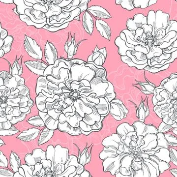 Floral background. Seamless vector pattern with hand drawn roses. Stock Illustration
