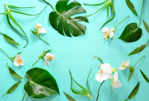 Floral background with a space for a text Stock Photos