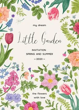 Floral background with summer and spring flowers. Botanical card. V 库存插图