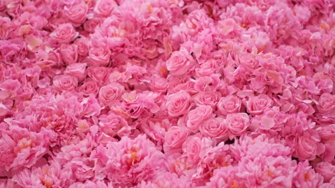 Floral background texture. Artificial flowers in pastel colors on the wall. Stock Footage 233199550