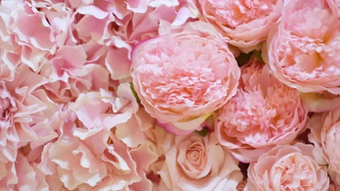 Floral background texture. Artificial flowers in pastel colors on the wall. Stock Footage 233199840