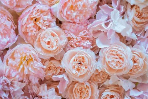 Floral background texture. Artificial flowers in pastel colors on the wall. Stock Photos