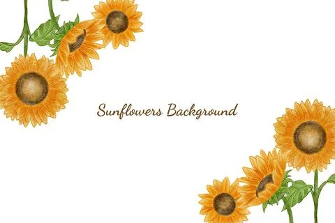 Floral Background Vector Stock Illustration