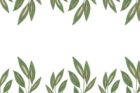 Floral Background Vector Stock Illustration