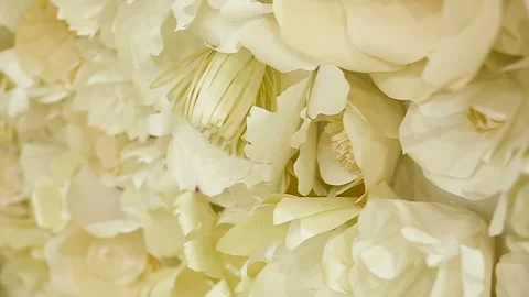 Floral background on the wall Stock Footage 105986989