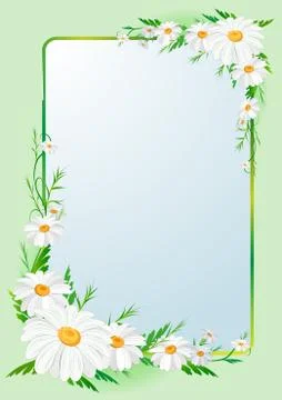 Floral border background with daises Stock Illustration