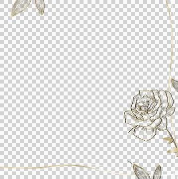 Floral border frame is showcasing rose with gold leaf border framing transparent 스톡 일러스트