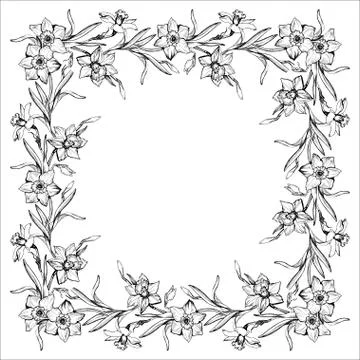 Floral border in square frame wreath with outline hand drawn Narcissus. Stock Illustration