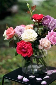 Floral bouquet of different multi colored roses in a glass vase on a dark tab Stock Photos