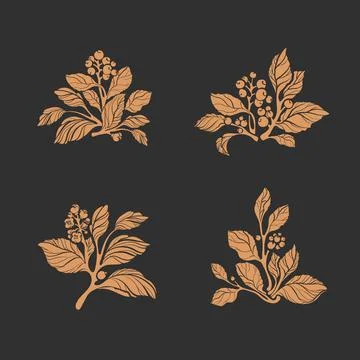 Floral bouquet. Vector set of isolate. Nature card Stock Illustration