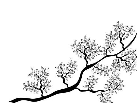 Floral branch Stock Illustration