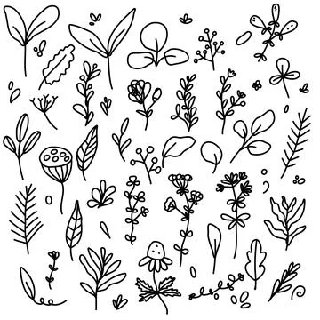 Floral, Branches Doodle Vector Set Isolated Stock Illustration