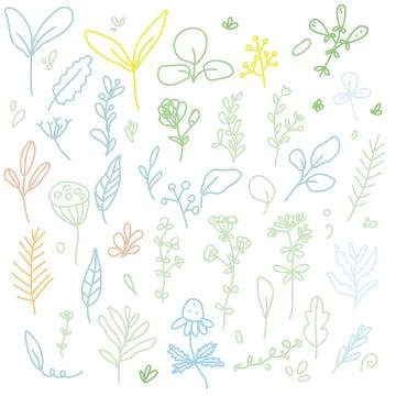 Floral, Branches Doodle Vector Set Isolated Colorful Stock Illustration