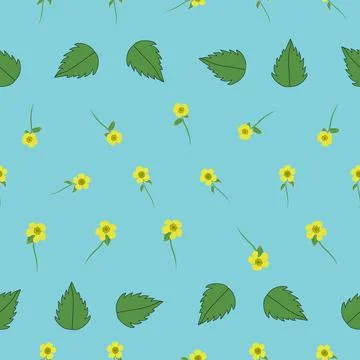 Floral buttercup seamless vector pattern design background Stock Illustration