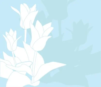 Floral card Stock Illustration