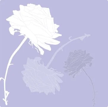 Floral card Stock Illustration
