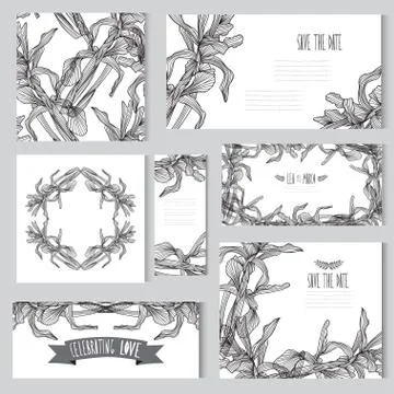 Floral cards set with iris bouquets, for wedding, baby shower, birthday Stock Illustration