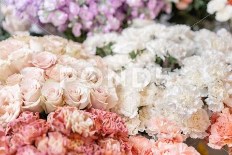 Floral carpet, flower texture, shop concept. Beautiful fresh blossoming flowers Stock Photos