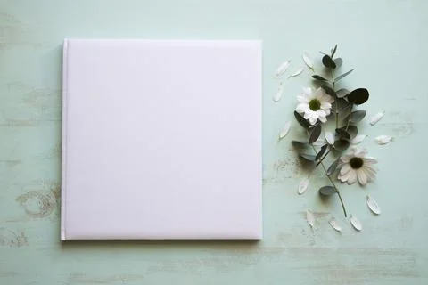 Floral cd mockup Stock Photos