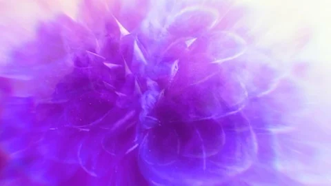 Floral cinemagraph background loop Stock Footage 109268717