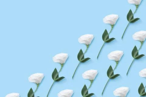 Floral collage pattern of a white eustoma. Stock Photos