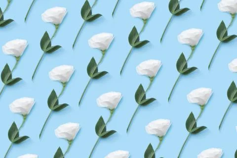 Floral collage pattern of a white eustoma. Stock Photos