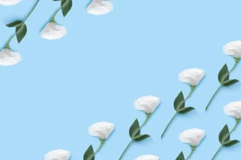 Floral collage pattern of a white eustoma. Stock Photos