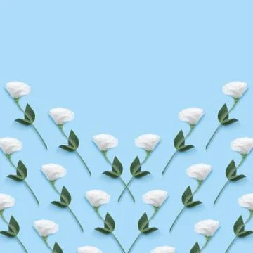 Floral collage pattern of a white eustoma. Stock Photos