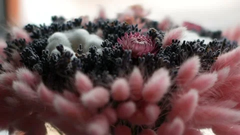 Floral composition closeup. Stock Footage 97868353