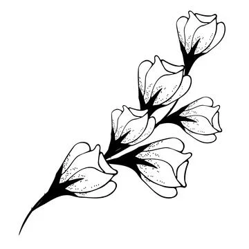 Floral composition is delicate, floral background with delicate flowers and.. Stock Illustration