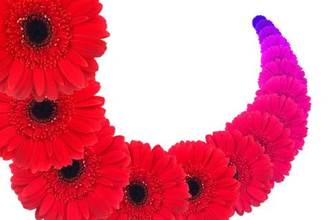 Floral composition Stock Illustration