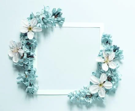 Floral composition Stock Photos