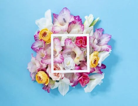 Floral composition Stock Photos