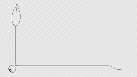 Floral corner frame, one line drawing animation. Video clip with alpha channel. Stock Footage 278185155