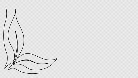Floral corner frame, one line drawing animation. Video clip with alpha channel. Stock Footage 303516436