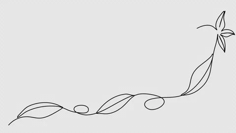 Floral corner frame, one line drawing animation. Video clip with alpha channel. Stock Footage 303516735