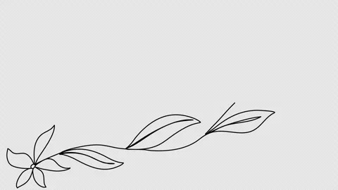 Floral corner frame, one line drawing animation. Video clip with alpha channel. Stock Footage 303516760