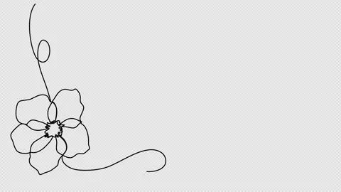 Floral corner frame, one line drawing animation. Video clip with alpha channel. Stock Footage 304994742