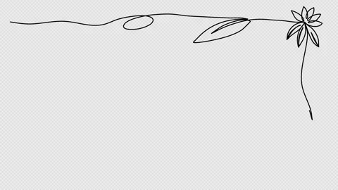 Floral corner frame, one line drawing animation. Video clip with alpha channel. Stock Footage 309698916
