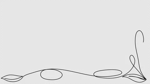 Floral corner frame, one line drawing animation. Video clip with alpha channel. Stock Footage 309699141