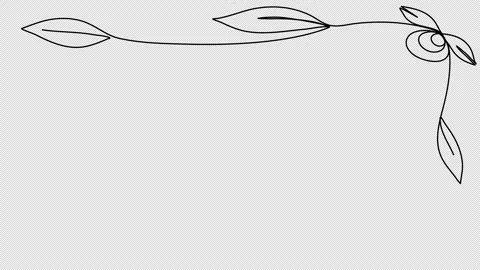 Floral corner frame, one line drawing animation. Video clip with alpha channel. Stock Footage 309699151