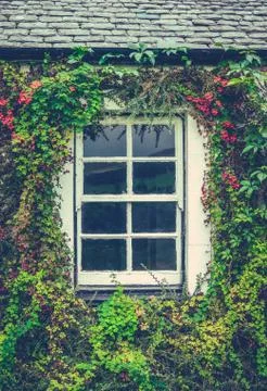 Floral Cottage Window Stock Photos