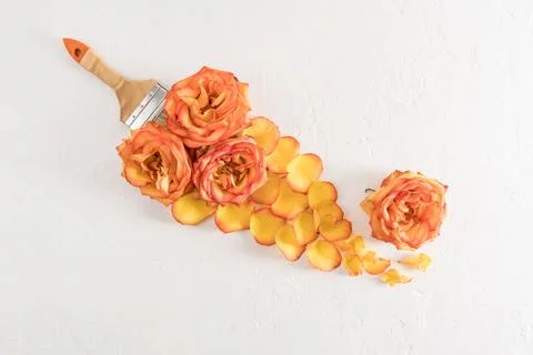 Floral creative composition of bright tea roses. a brush of rose petals on .. Photos