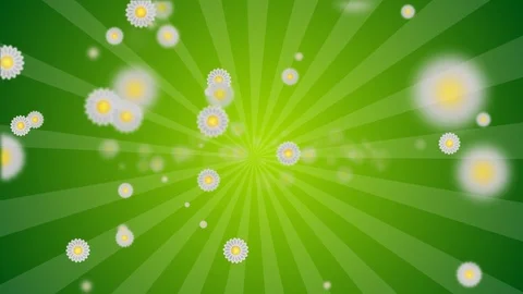 Floral / Daisy Seamless Loopable Background. Hand Painted. Ideal For Your Spring Stock Footage 105702811