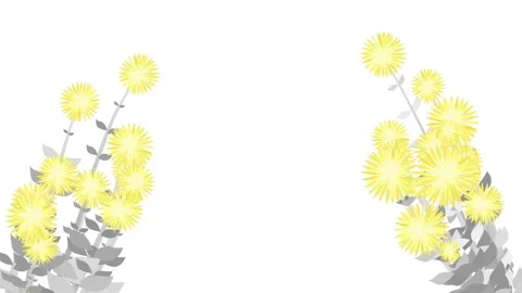 Floral decoration, corner or text decoration, background, animation Stock Footage 146607237