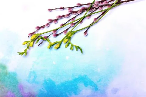 Floral decorative setting or spring greeting card template Stock Photos