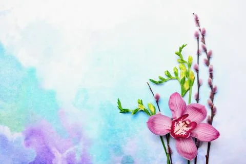 Floral decorative setting or spring greeting card template Stock Photos