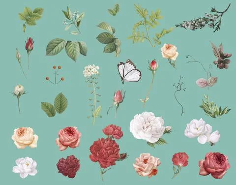 Floral design background Stock Illustration