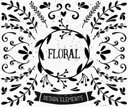 Floral Design Elements Collection Stock Illustration